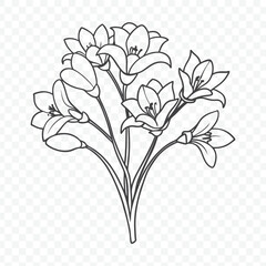 Floral Bunch with Freesia Line Art Vector Illustration of Elegant Flowers in Black and White Design