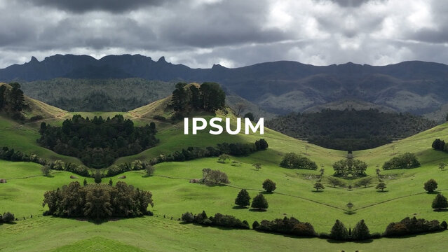 Fast Text Stomp Vertical Horizontal Slideshow 308