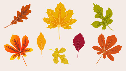 Hello, Autumn. Set of autumn leaves. Template for the design of banners, posters, advertising, postcards, sales. Vector