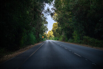 A paved asphalt road passes through a forest