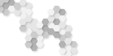 Abstract technology hexagonal background. Illustration of a white background with hexagonal template. White hexagon honeycombs background. Hexa gray Abstract Geometric Wide Banner Design.