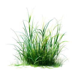 Green Grass Clipart Vector Illustration