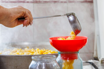 Woman prepares apple jam. Female hand is filling glass jars with stainless steel kitchen spoon and funnel. Canning process, food preservation concept. Real life closeup with selective focus.