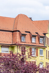 Fragment of a very neat and colorful home with gorgeous outdoor landscape in suburbs