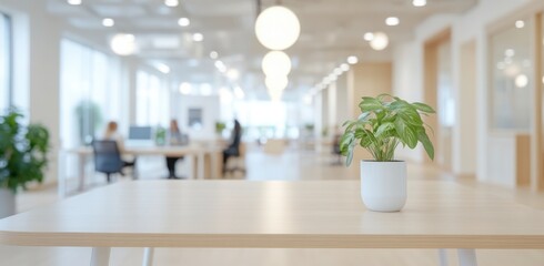 Blurred office interior with people working in the background, a business meeting concept. The glass wall of a modern open space for a casual company or co-working area. 