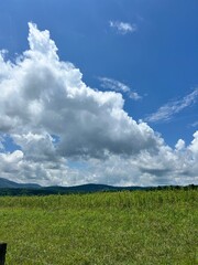 Obraz premium Pigeon forge tennessee 