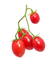 Tomatoes  branch isolated