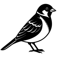 Sparrow silhouette vector illustration