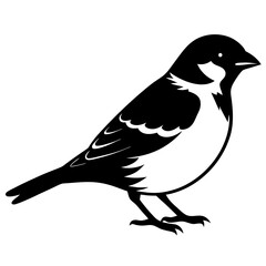 Obraz premium Sparrow silhouette vector illustration