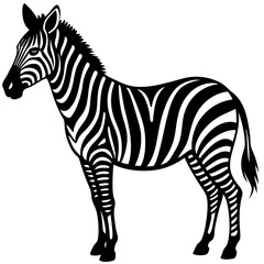  Zebra silhouette vector illustration