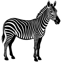  Zebra silhouette vector illustration