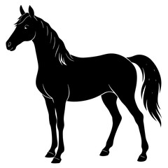 Arabian horse silhouette vector illustration 
