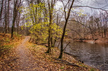 Autumn path.