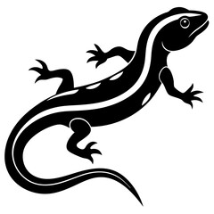  Salamander silhouette vector illustration