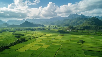 Obraz premium photograph of Rice fields in valley, Lang Son province, Vietnam realistic