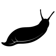 snail on a white background © Jamila