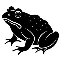 Toad silhouette vector illustration