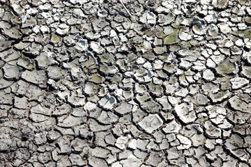 Dried Cracked Earth in Natural Landscape