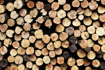 Stacked Logs for Firewood or Rustic Decor