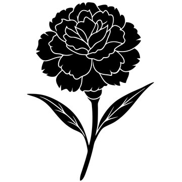 black carnation flower silhouette on white clip art preview