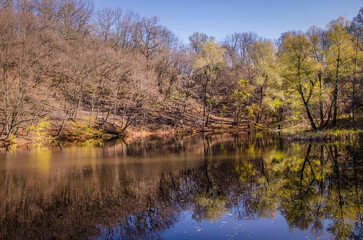 Fototapeta premium Autumn reflection.
