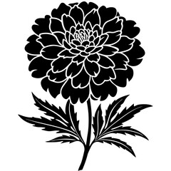 Marigold silhouette vector illustration