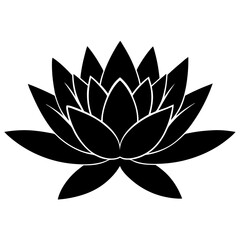  Water lily silhouette vector illustration