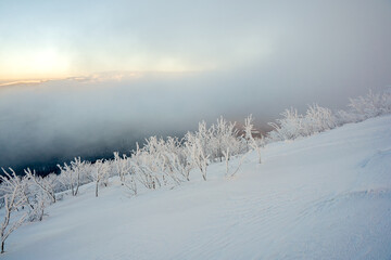 Minimalist Winter Landscape in Bieszczady, Wielka Rawka