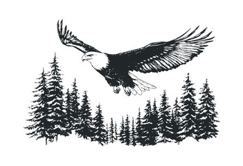 Fototapeta premium Eagle soaring over a stunning landscape. Vector retro hand drawn illustration.