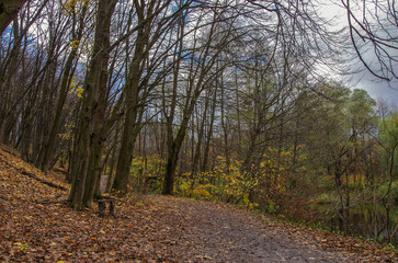 Late autumn in the old park.