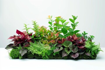 Serene Workspace with Plants