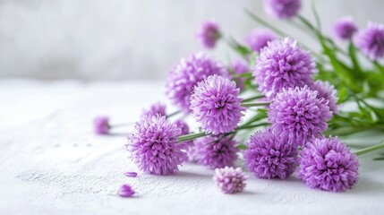 Cluster of purple flowers on a white table, creating a simple yet elegant contrast