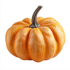 Small Orange Pumpkin.