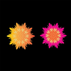 Beautiful flower design with black background