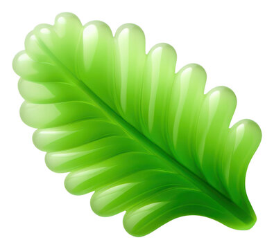 glossy green leaf on white background clip art preview