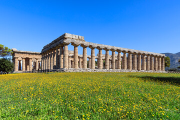 Fototapeta premium View of Paestum with its Greek temples in Italy: in the foreground the Temple of Hera and in the background the Temple of Neptune.