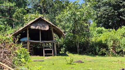 old house in the woods