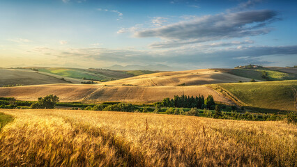 Countryside panorama in Tuscany, rolling hills and wheat fields at sunset. Santa Luce.