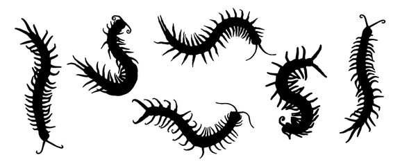 set of silhouettes of wheat
Silhouette of a centipede, halloween day