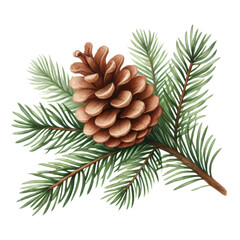 Watercolor illustration of a pinecone with fir branches. Festive winter arrangement for Christmas and holiday decoration.