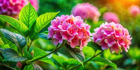 Fototapeta premium Delicate pink blooms emerge amidst lush green foliage, creating a vibrant tableau in nature, where beauty flourishes and colors dance in harmonious serenity.