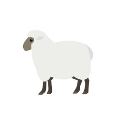 sheep symbol sign icon vector illustration animal cute ram ewe