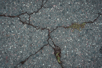 Obraz premium Cracked asphalt background. Asphalt road top view. The road background