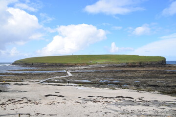 Brough of Birsay, Orkney, Scotland