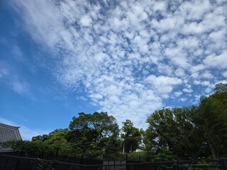 Fototapeta premium Japan Railway Station Train Travel with a view of the city center and the beautiful outside of the train tracks