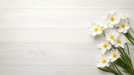 Fototapeta premium White flowers with yellow centers on a soft wooden background.