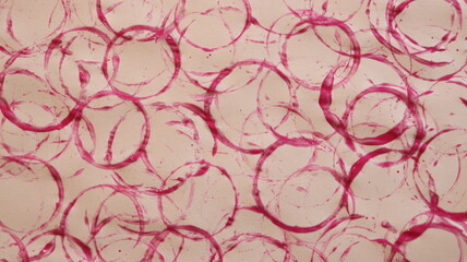 Pink Painted Circle Print Making Pattern Texture