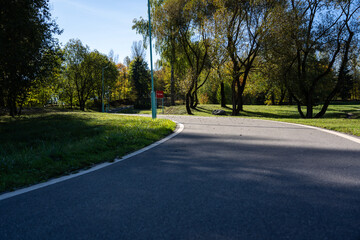 Bike path in the forest park. A sunny October day