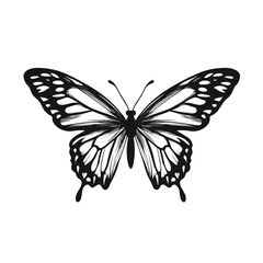 Elegant Black and White Butterfly Illustration in Detailed Line Art for Nature and Wildlife Designs