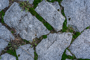 Stone paving stones. Moss between the stones. Moss in the paving stones.